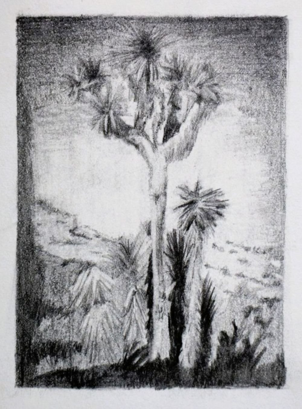 After Patti Smith II, 2020, graphite, 11×8 cm